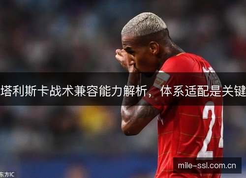塔利斯卡战术兼容能力解析,体系适配是关键 塔利斯卡战术兼容能力解析,体系适配是关键